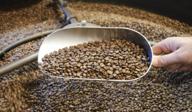 Эксперты прогнозируют рост мировых цен на кофе